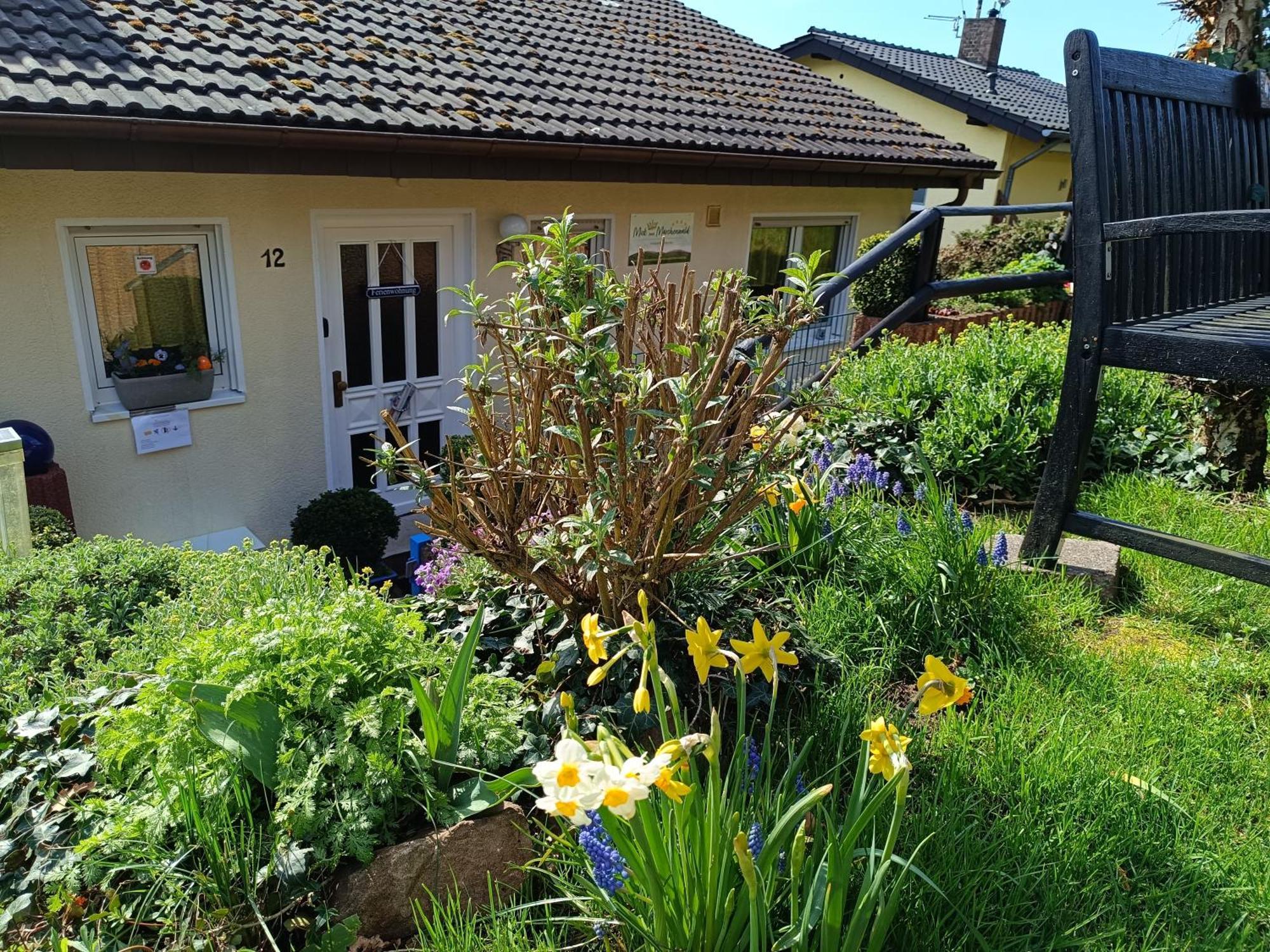 Ferienwohnung Zum Maerchenwald Bergfreiheit Exterior photo