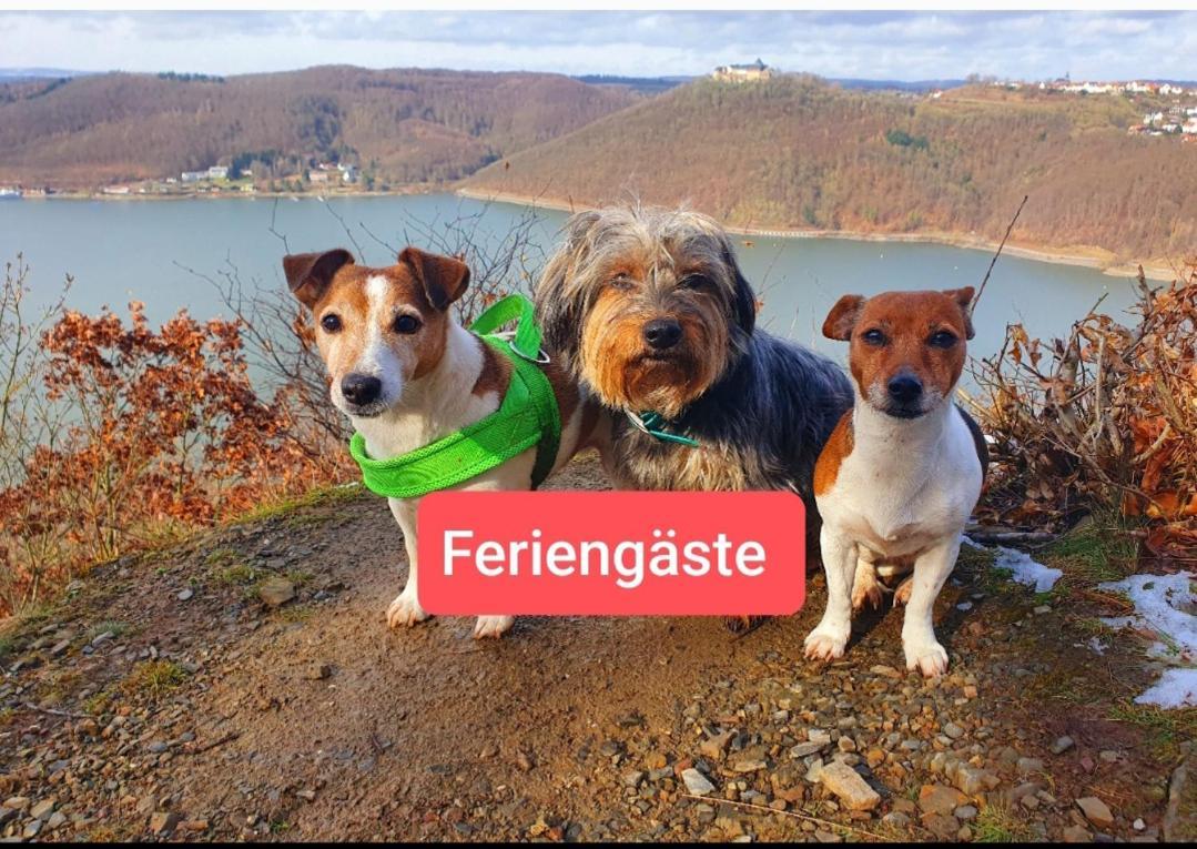 Ferienwohnung Zum Maerchenwald Bergfreiheit Exterior photo